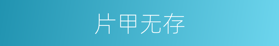 片甲无存的意思