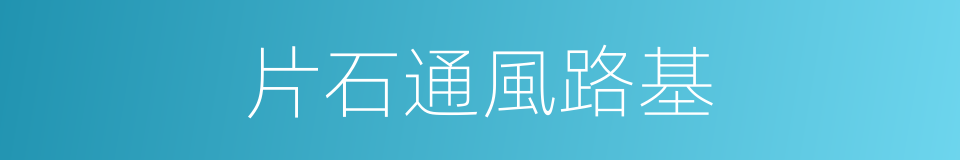 片石通風路基的同義詞