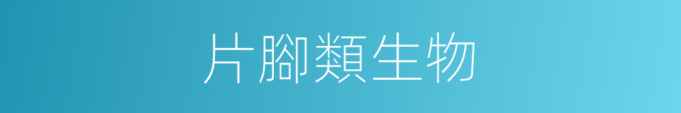 片腳類生物的同義詞