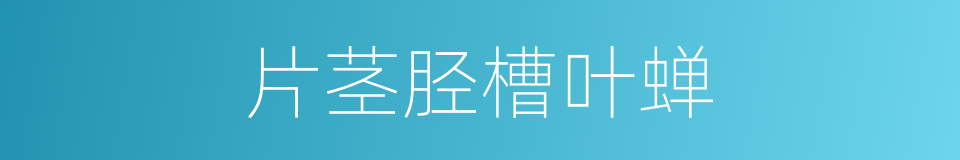 片茎胫槽叶蝉的同义词