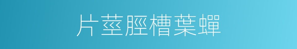 片莖脛槽葉蟬的同義詞