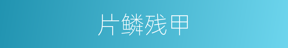 片鳞残甲的意思