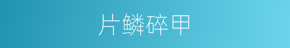 片鳞碎甲的意思