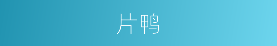 片鸭的同义词