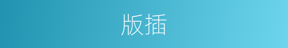 版插的意思