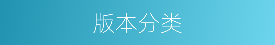 版本分类的同义词