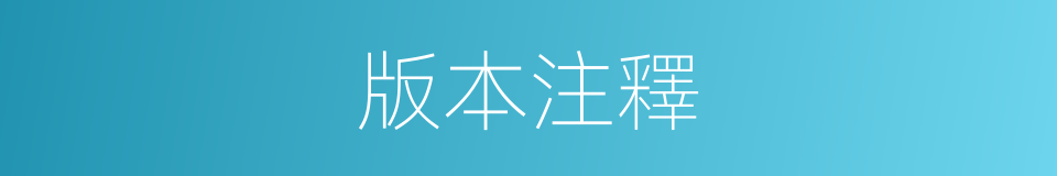 版本注釋的意思