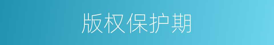 版权保护期的同义词