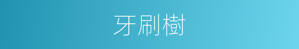 牙刷樹的同義詞