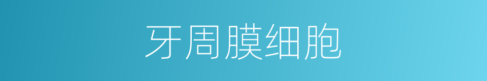 牙周膜细胞的同义词
