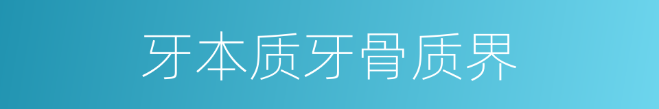 牙本质牙骨质界的同义词