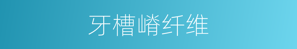 牙槽嵴纤维的同义词