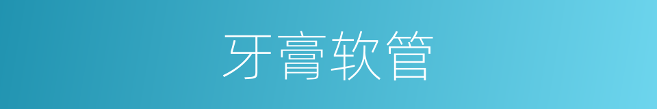 牙膏软管的同义词