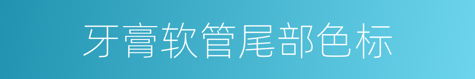 牙膏软管尾部色标的同义词