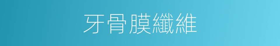 牙骨膜纖維的同義詞