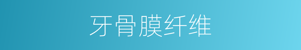 牙骨膜纤维的同义词