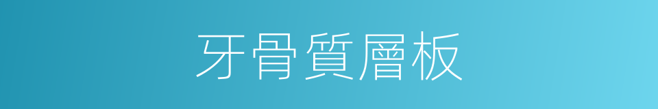 牙骨質層板的同義詞