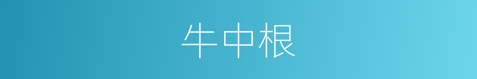 牛中根的同义词