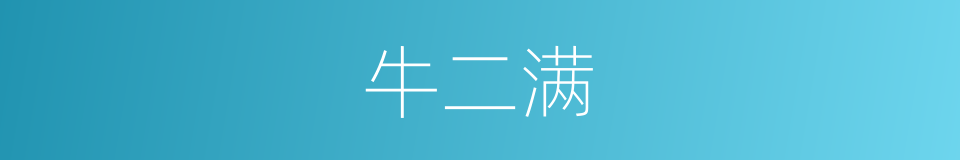 牛二满的同义词