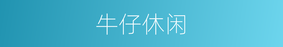 牛仔休闲的同义词