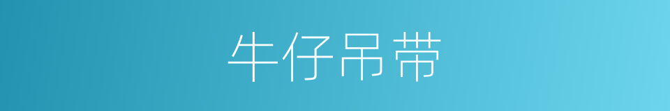 牛仔吊带的同义词