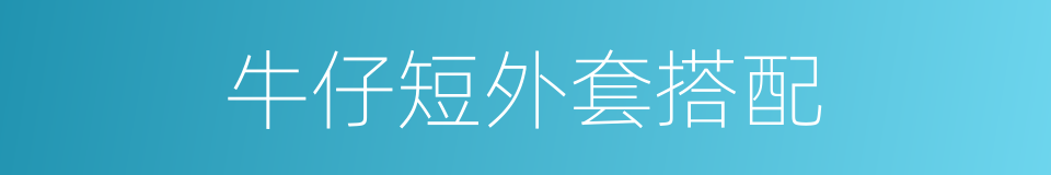 牛仔短外套搭配的同义词
