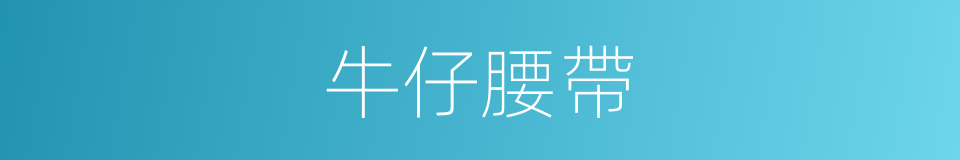 牛仔腰帶的同義詞