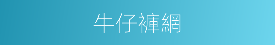 牛仔褲網的同義詞