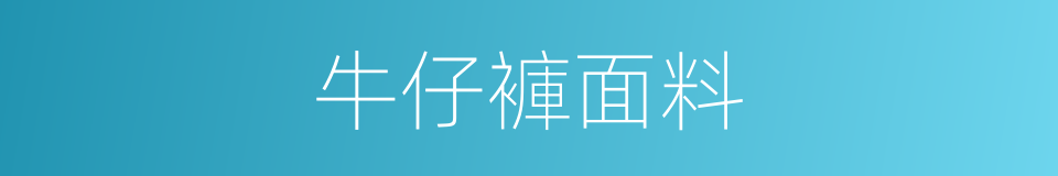 牛仔褲面料的同義詞