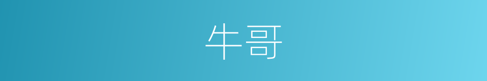 牛哥的同义词