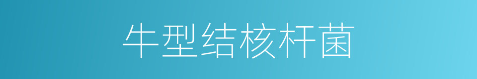 牛型结核杆菌的同义词