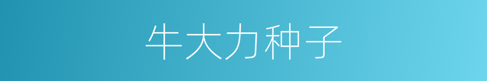 牛大力种子的同义词