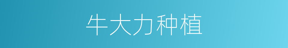 牛大力种植的同义词