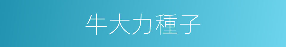 牛大力種子的同義詞