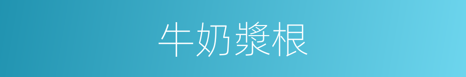 牛奶漿根的同義詞
