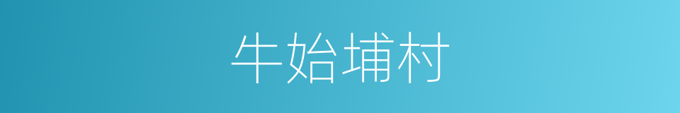 牛始埔村的同义词