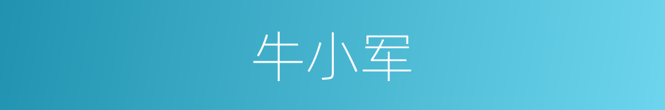 牛小军的同义词