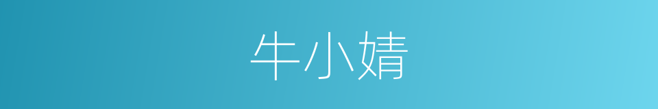 牛小婧的同义词