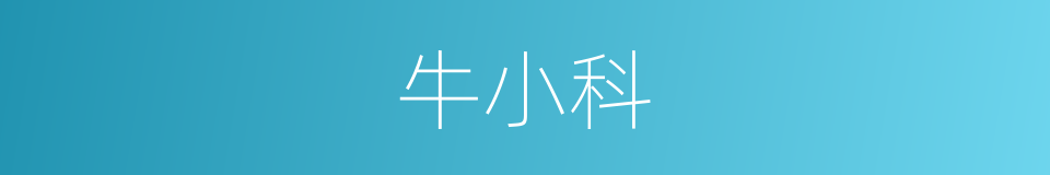 牛小科的同义词