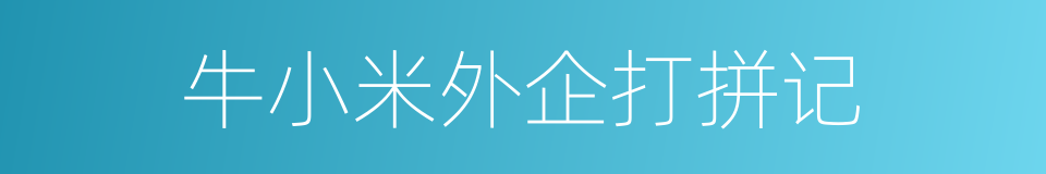 牛小米外企打拼记的同义词
