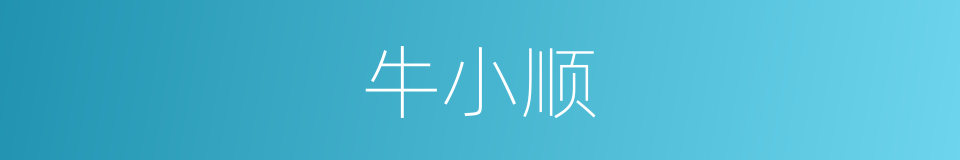 牛小顺的同义词