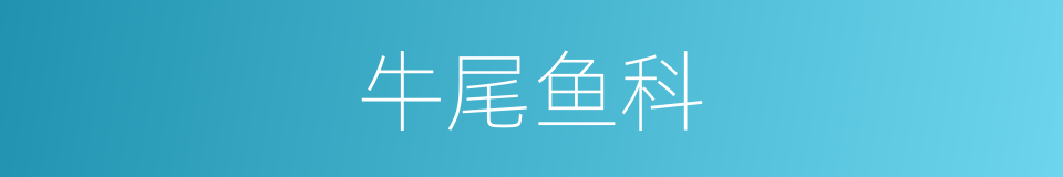 牛尾鱼科的同义词