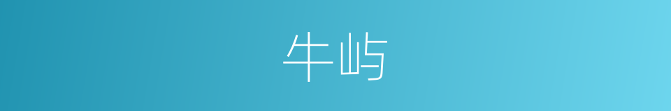 牛屿的同义词