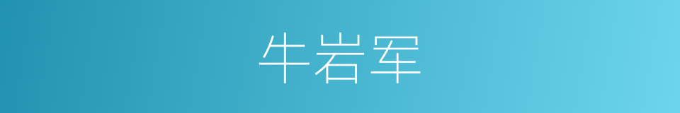 牛岩军的同义词