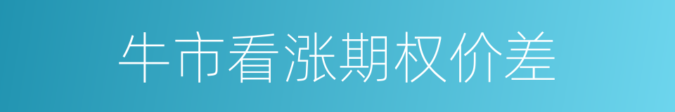 牛市看涨期权价差的同义词