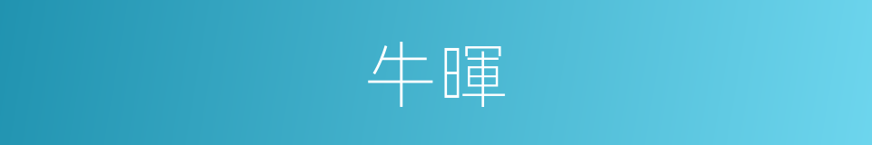 牛暉的同義詞