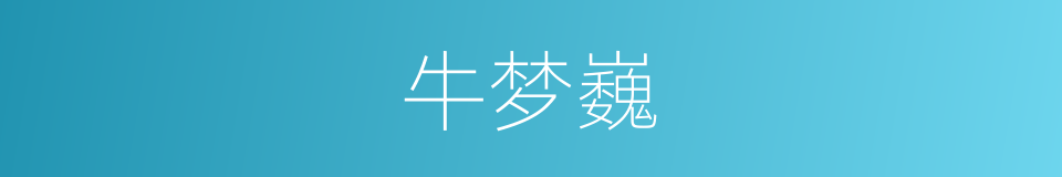 牛梦巍的同义词