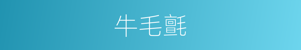 牛毛氈的意思