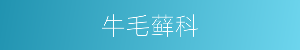 牛毛藓科的同义词