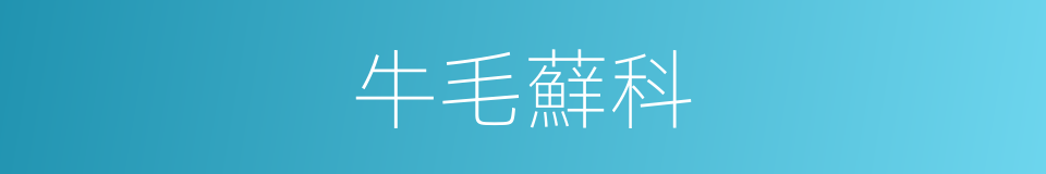 牛毛蘚科的同義詞